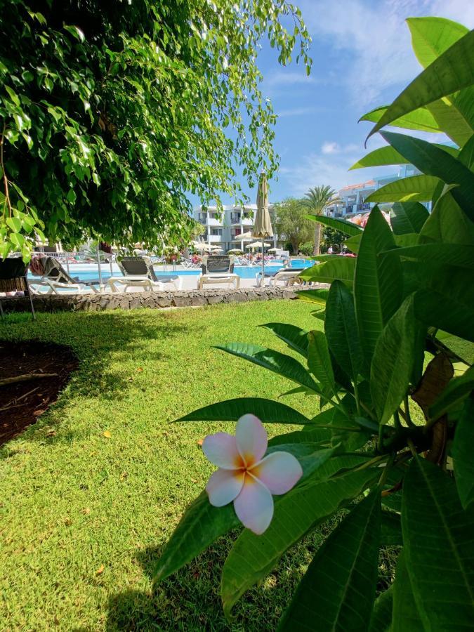 Private Apartment 150 Hg Tenerife Sur Los Cristianos  Buitenkant foto